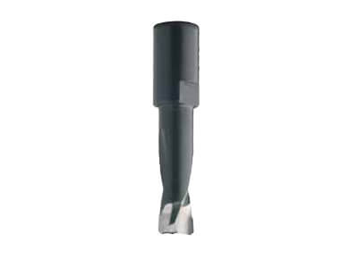 Nutfräser für Festool DOMINO